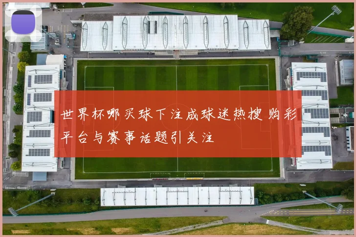 世界杯哪买球下注成球迷热搜 购彩平台与赛事话题引关注