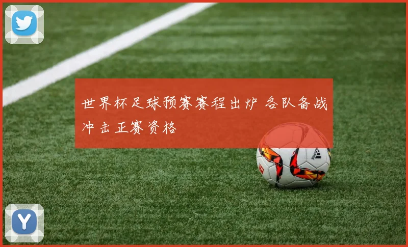 世界杯足球预赛赛程出炉 各队备战冲击正赛资格