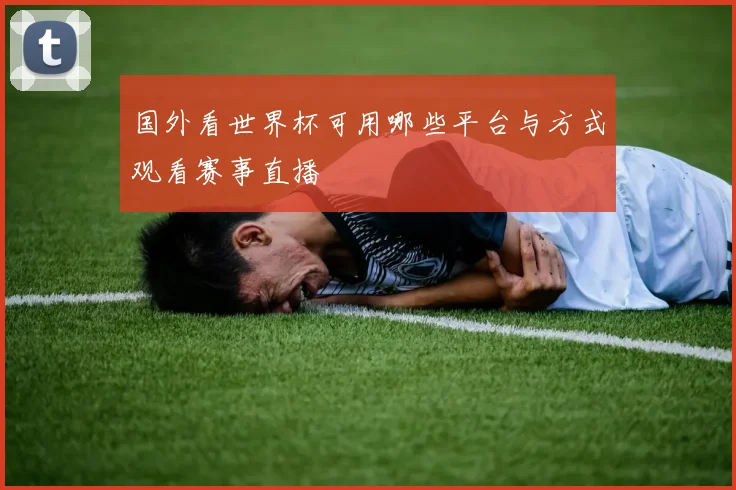 国外看世界杯可用哪些平台与方式观看赛事直播