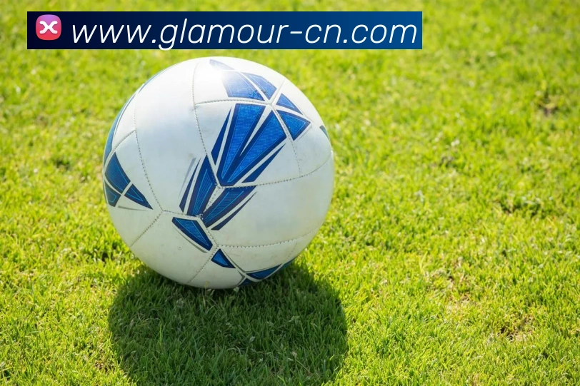 世界杯开户平台服务体系